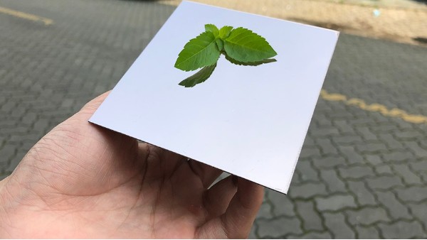 為什么彩色不銹鋼裝飾板會(huì )大受歡迎？